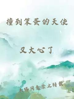 撞到笨蛋的天使