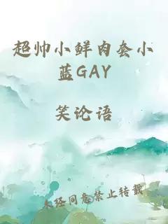 超帥小鮮肉套小藍GAY